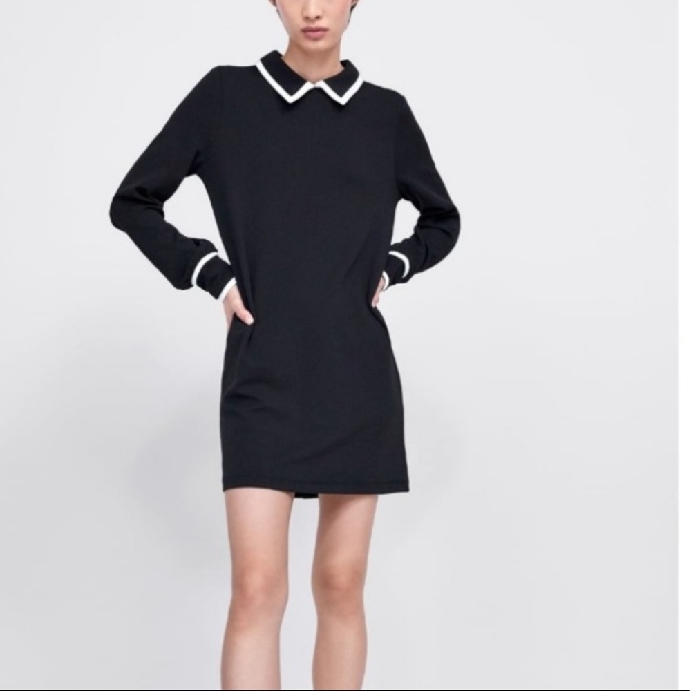 Zara black dress with white collar